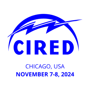 Logo du workshop CIRED 2024 à Chicago