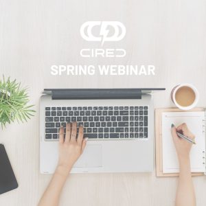 CIRED Webinar Spring 2025