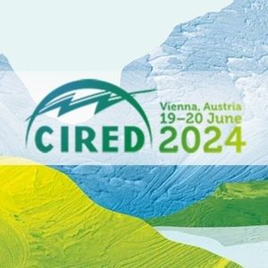 workshop CIRED 2024 Vienne